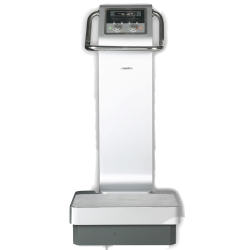 vibration plate exercises obesity