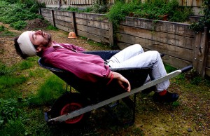 sleep hynotics increase risk of death
