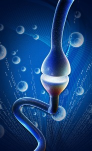 brain damage in seizures