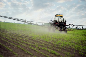 environmental chemicals and obesity
