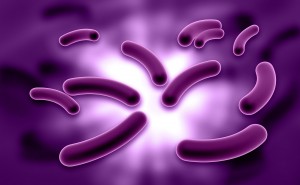 microbiome and glutamine